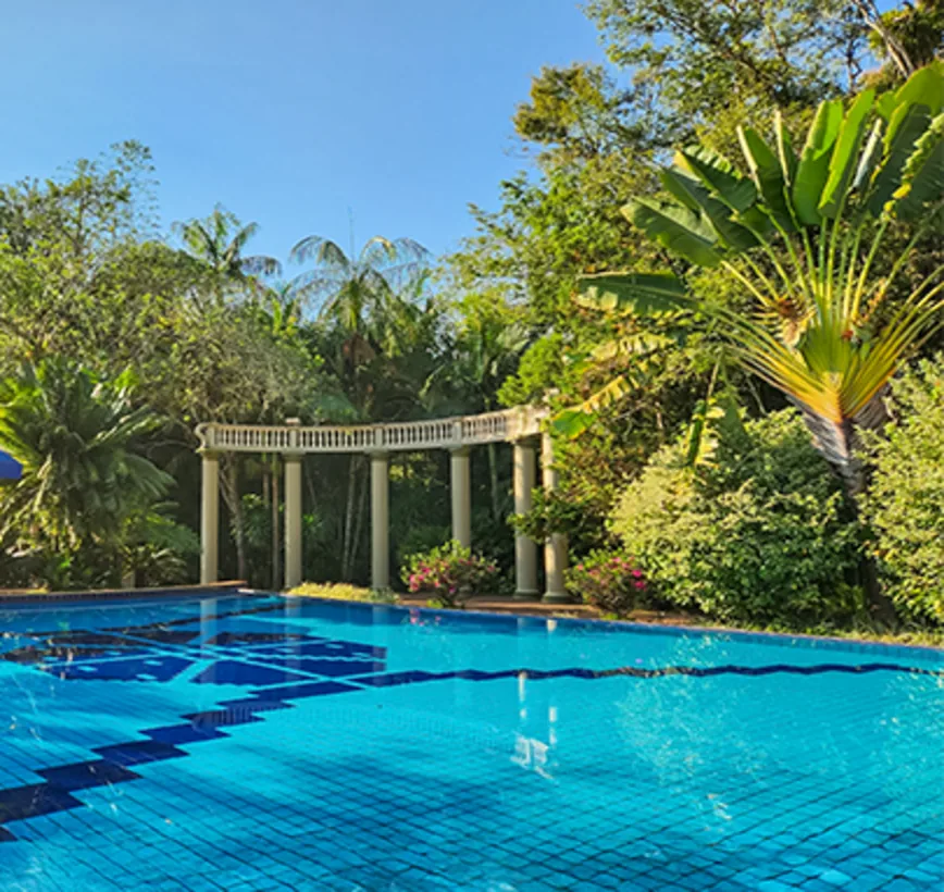 Piscina cercada pela natureza