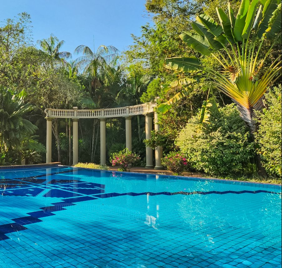 Piscina cercada por vegetação