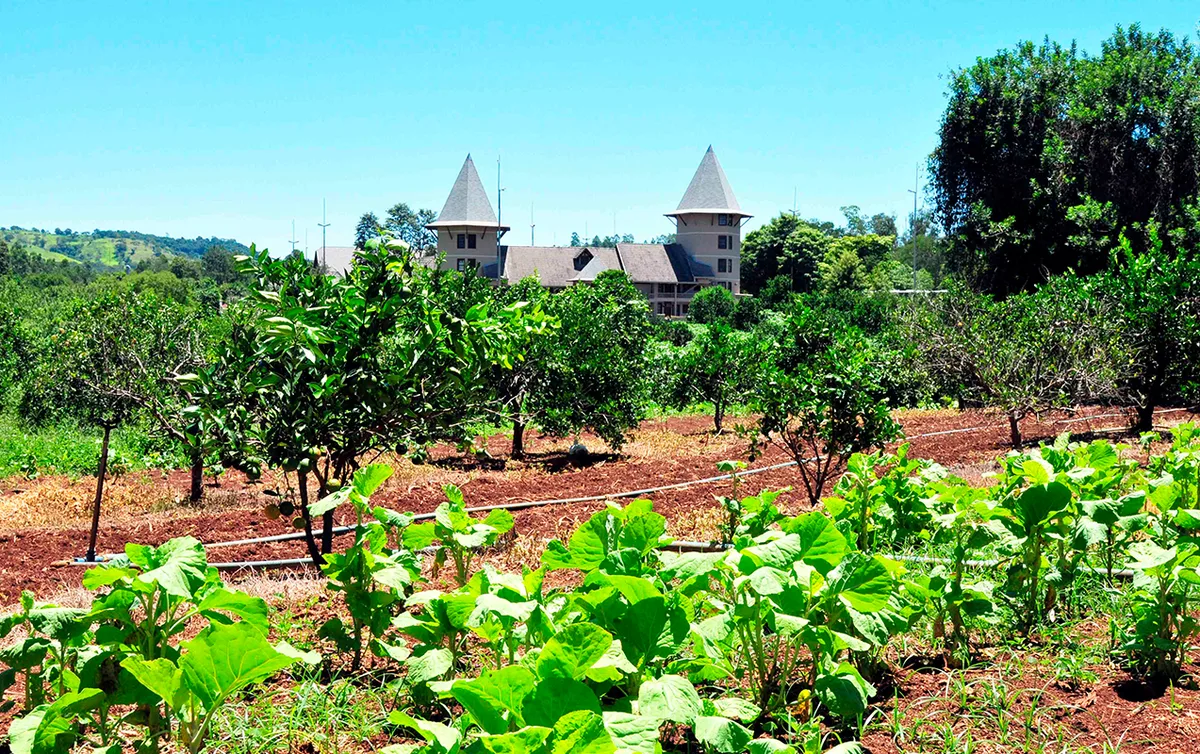 Natureza preservada em Jurema Águas Quentes
